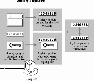 Цифровая подпись и шифрование сообщений