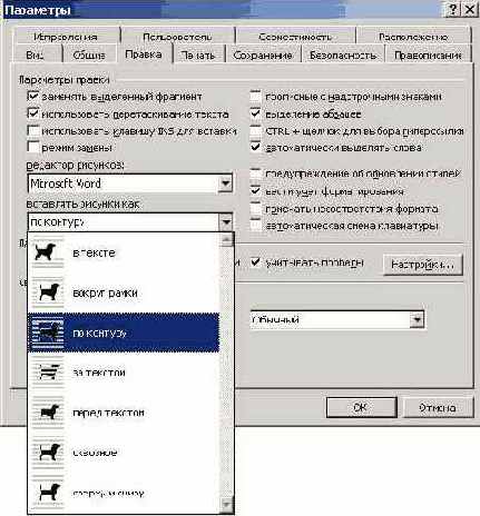 Рисунки «по контуру»